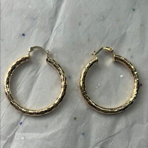 Elegant Gold Hoop Earrings